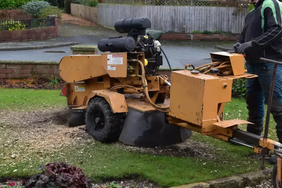 Is Tree Stump Grinding Necessary After Tree Removal Leavenworth, KS Is Tree Stump Grinding Necessary After Tree Removal Leavenworth, KS