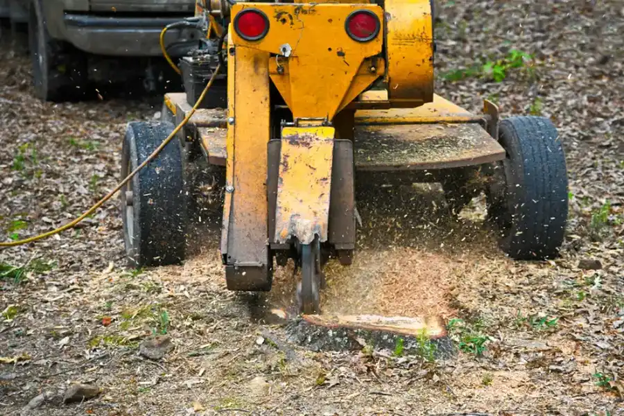 The Tree Stump Grinding Process Explained For Homeowners in Leavenworth, KS The Tree Stump Grinding Process Explained For Homeowners in Leavenworth, KS